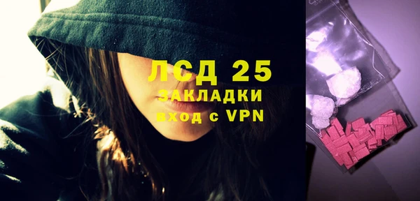 крисы Козельск
