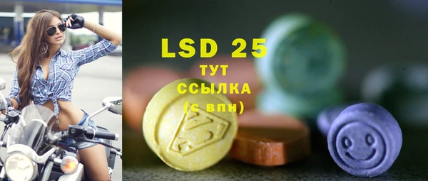 стафф Козловка
