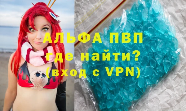 крисы Козельск