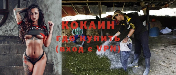стафф Козловка