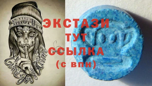 крисы Козельск