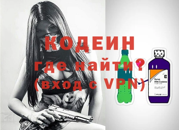 ешки Корсаков