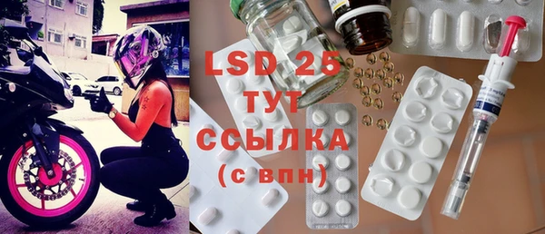 стафф Козловка