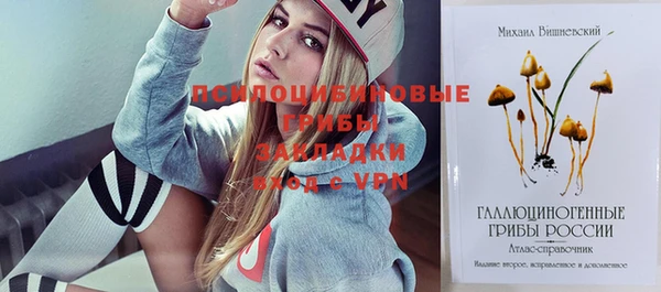 стафф Козловка