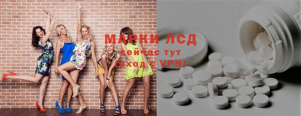 крисы Козельск