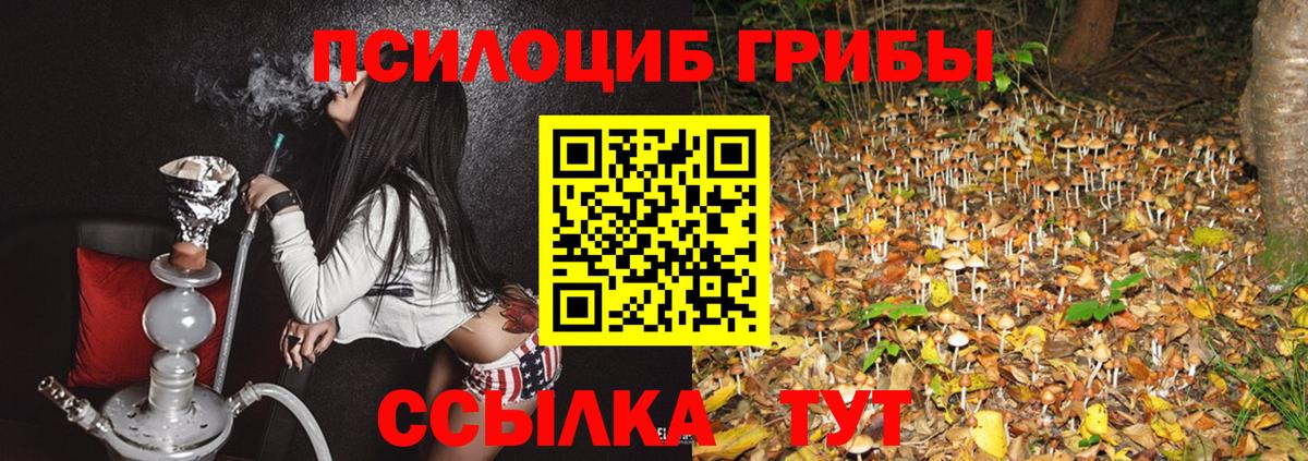 Галлюциногенные грибы Cubensis Стерлитамак